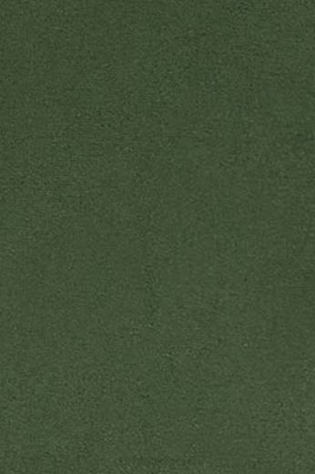 נשים King Louieאביזרים HBFR194 טייץ מוצק ירוק טימין